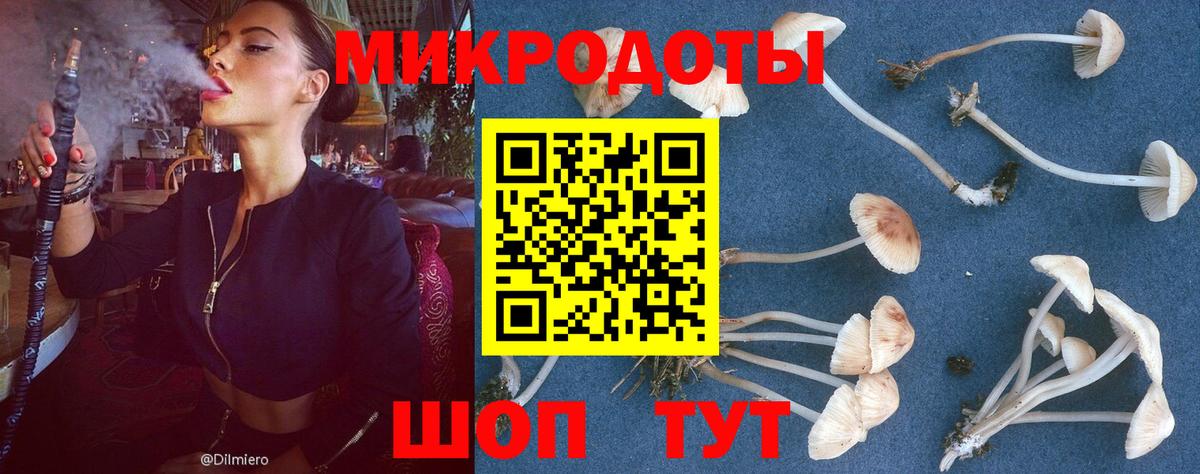 Псилоцибиновые грибы мицелий  Псилоцибиновые грибы мухоморы  Вход с VPN  Ангарск 