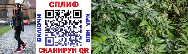 где найти   Ангарск  shop формула  Каннабис сатива 